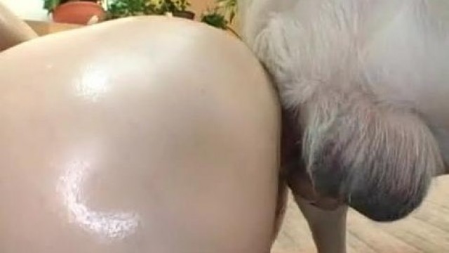 Азиатка с большой попой отдалась кобелю на диване, бдсм зоо секс из Японии